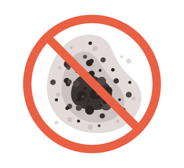 Reliable Catawissa, PA Mold Removal Solutions