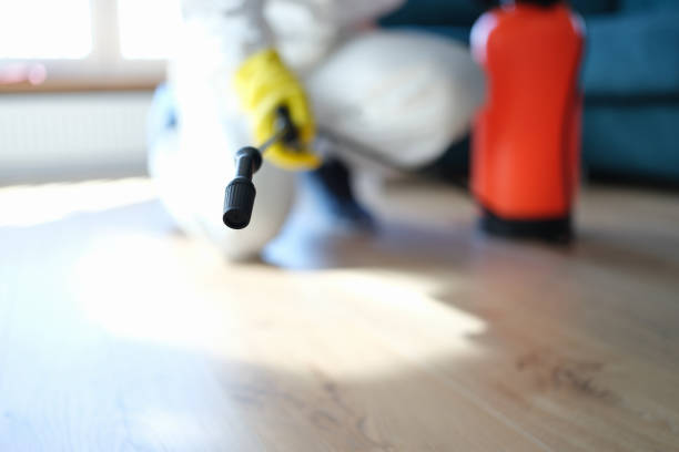 Biohazard Mold Removal in Catawissa, PA