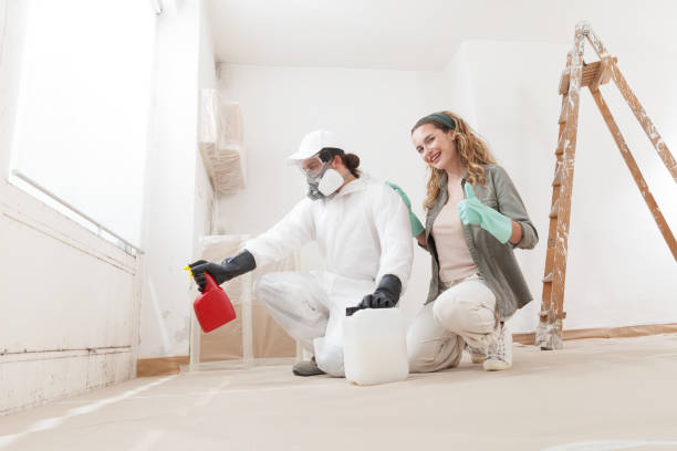 Best Black Mold Removal  in Catawissa, PA