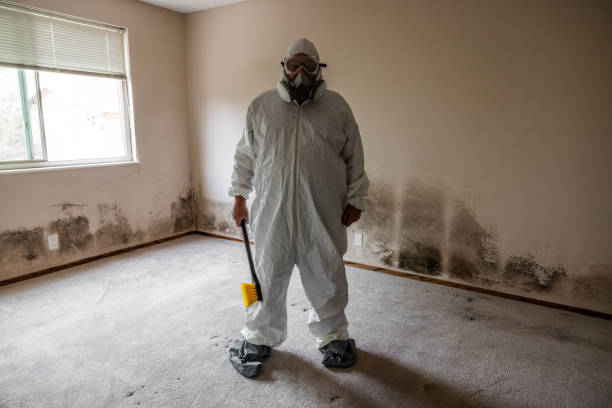 Mold Removal for HVAC Installations in Catawissa, PA